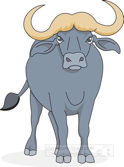 standing buffalo clip art